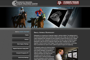 Diagnostic Imaging & Cancer Treatment Center