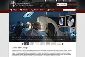 Texas A&M College of Veterinary Medicine